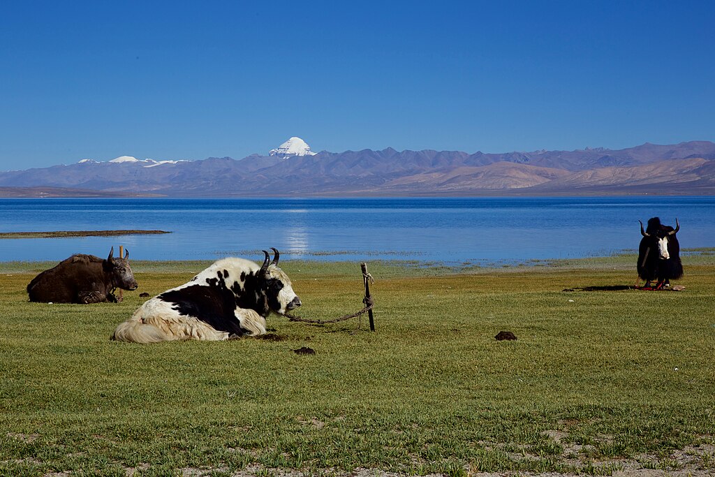 Kailash Yatra via Lhasa